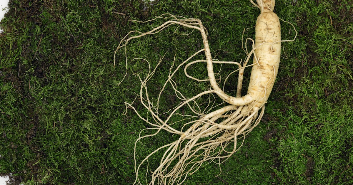 Ashwagandha vs Rhodiola: What to Choose and for Whom